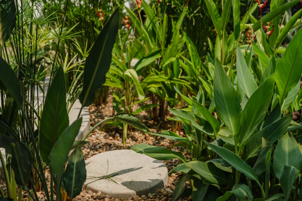Water Recycling Project